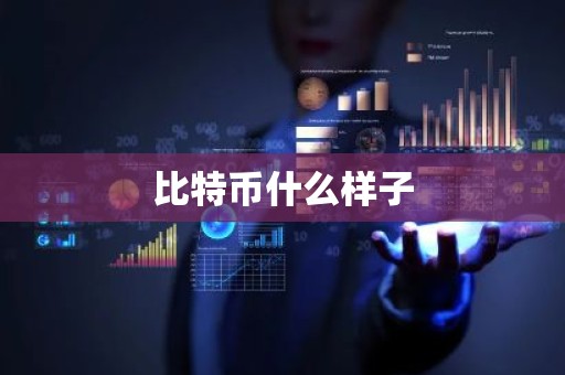 比特币什么样子