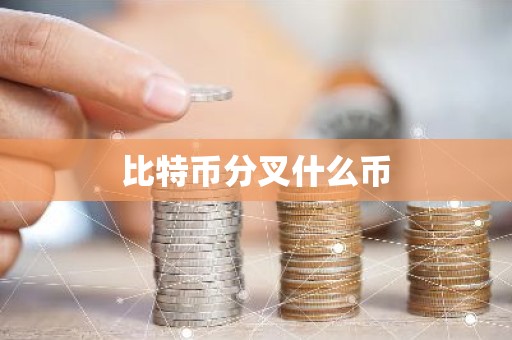 比特币分叉什么币