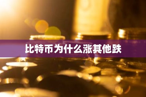 比特币为什么涨其他跌