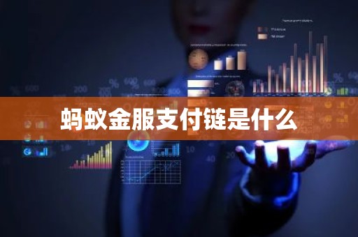 蚂蚁金服支付链是什么