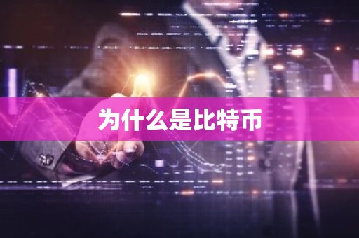 为什么是比特币