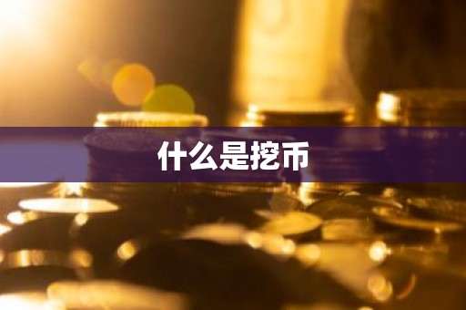 什么是挖币