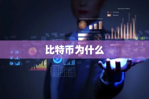 比特币为什么