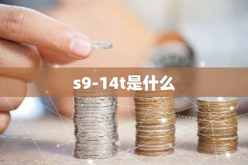 s9-14t是什么