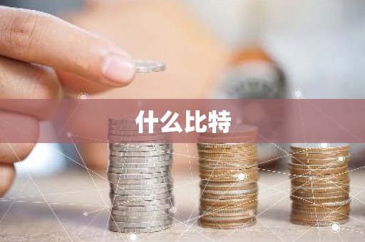 什么比特