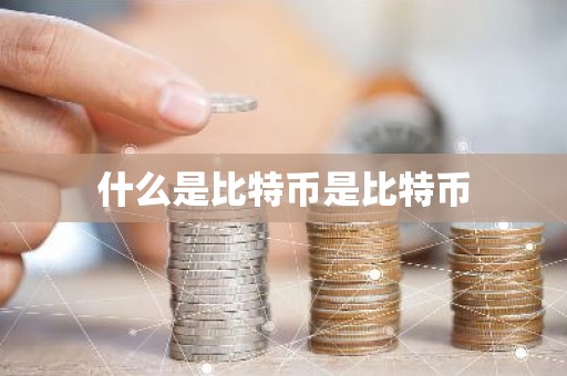 什么是比特币是比特币