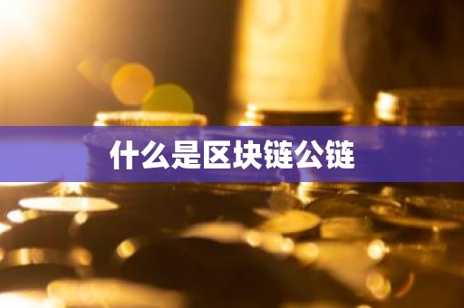 什么是区块链公链