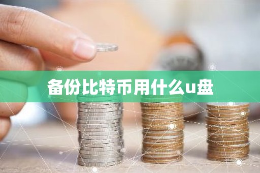 备份比特币用什么u盘