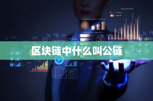 区块链中什么叫公链