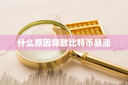 什么原因导致比特币暴涨