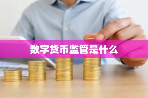数字货币监管是什么