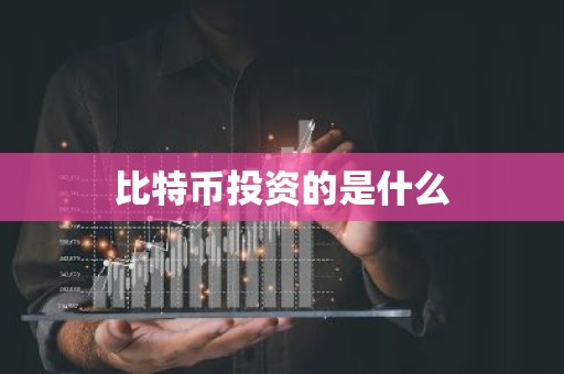 比特币投资的是什么