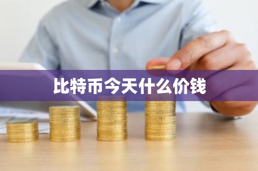 比特币今天什么价钱