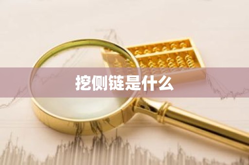 挖侧链是什么