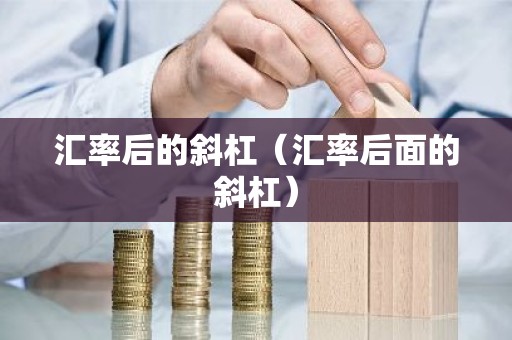 汇率后的斜杠（汇率后面的斜杠）