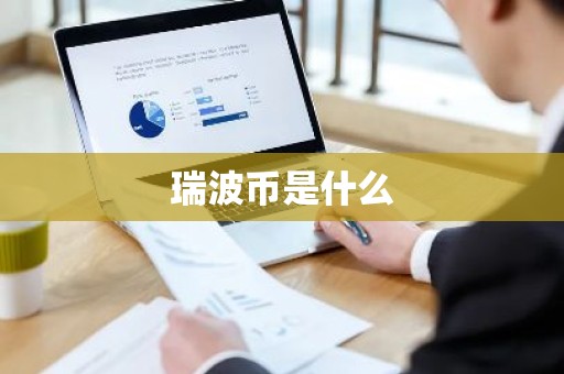 瑞波币是什么
