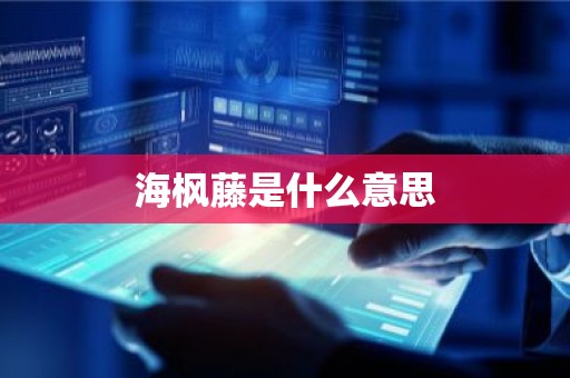海枫藤是什么意思