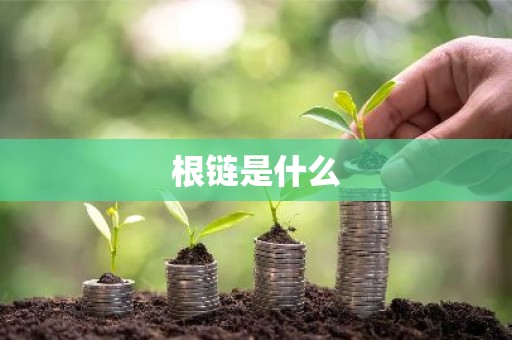 根链是什么
