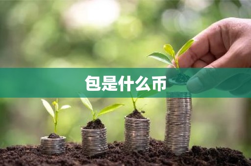 包是什么币