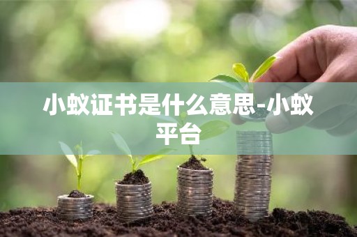 小蚁证书是什么意思-小蚁平台