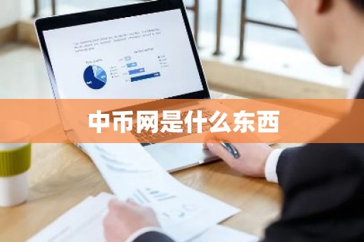 中币网是什么东西