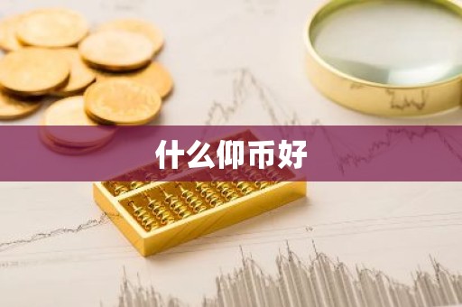 什么仰币好