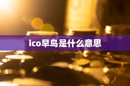 ico早鸟是什么意思