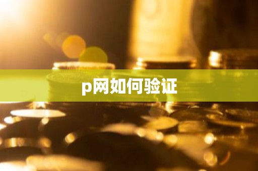 p网如何验证