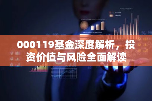 000119基金深度解析，投资价值与风险全面解读