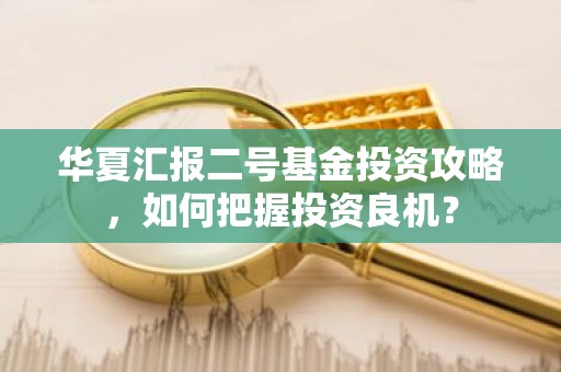 华夏汇报二号基金投资攻略，如何把握投资良机？