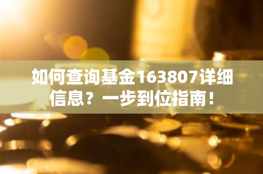如何查询基金163807详细信息？一步到位指南！