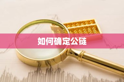 如何确定公链