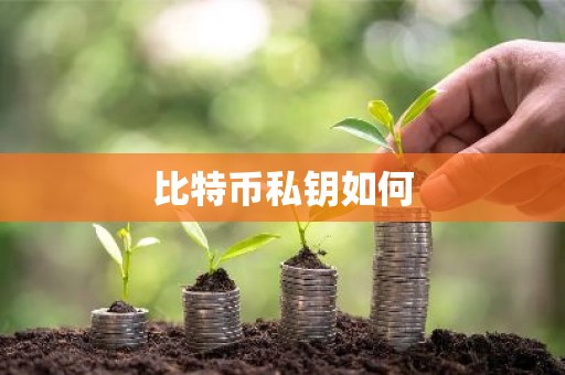 比特币私钥如何