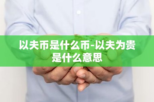 以夫币是什么币-以夫为贵是什么意思