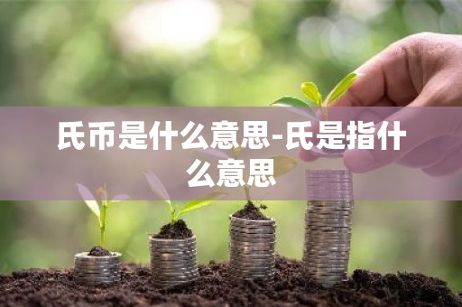 氏币是什么意思-氏是指什么意思