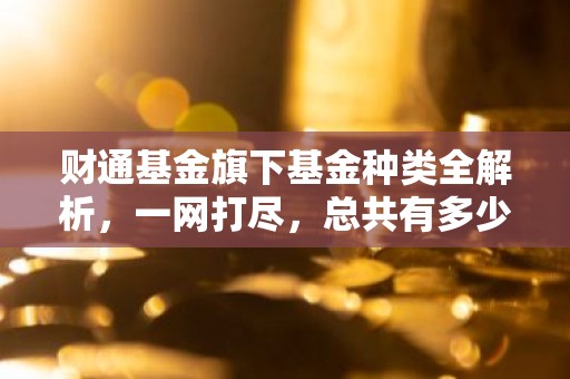 财通基金旗下基金种类全解析，一网打尽，总共有多少只基金？