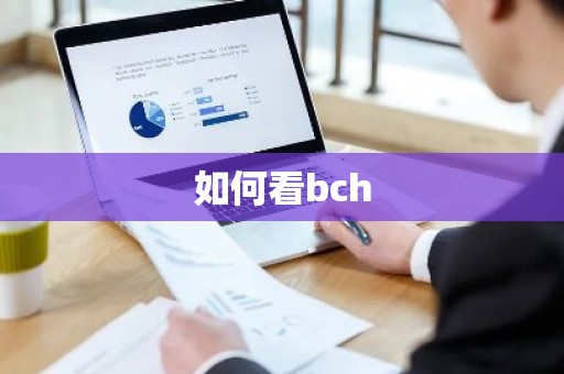 如何看bch