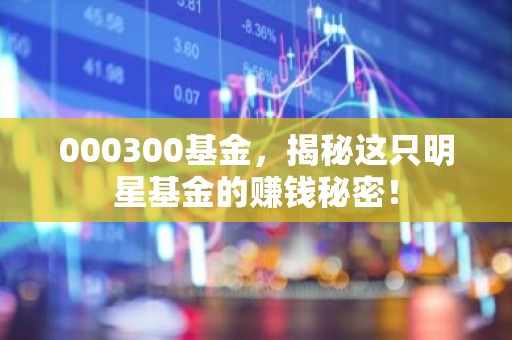 000300基金，揭秘这只明星基金的赚钱秘密！