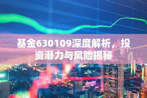 基金630109深度解析，投资潜力与风险揭秘