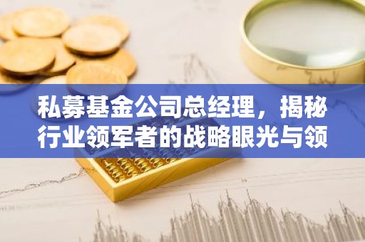 私募基金公司总经理，揭秘行业领军者的战略眼光与领导力