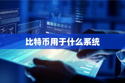 比特币用于什么系统