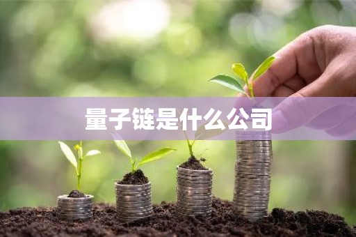 量子链是什么公司