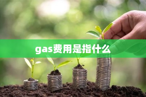 gas费用是指什么