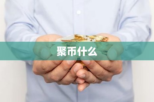 聚币什么