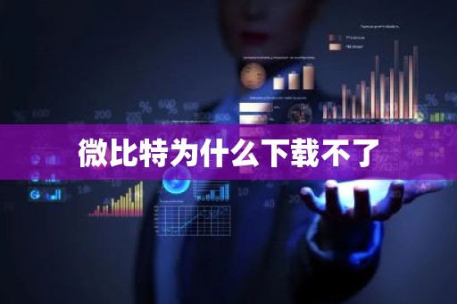 微比特为什么下载不了
