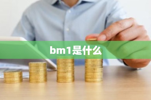 bm1是什么