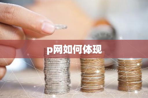 p网如何体现