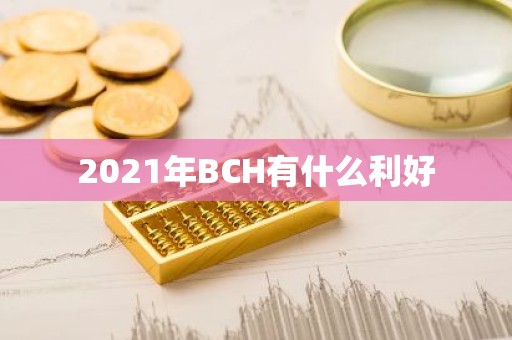 2021年BCH有什么利好
