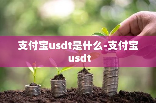 支付宝usdt是什么-支付宝 usdt