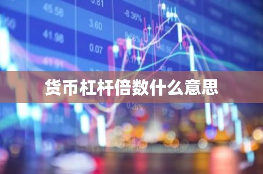 货币杠杆倍数什么意思